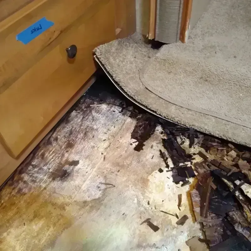 Best Wood Floor Water Damage Service in Essex County, MA